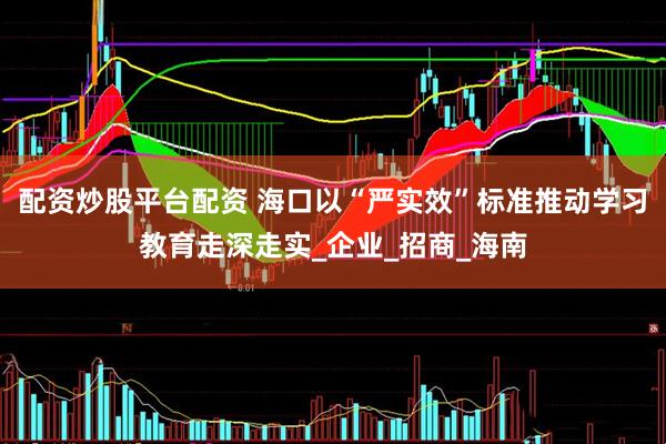 配资炒股平台配资 海口以“严实效”标准推动学习教育走深走实_企业_招商_海南